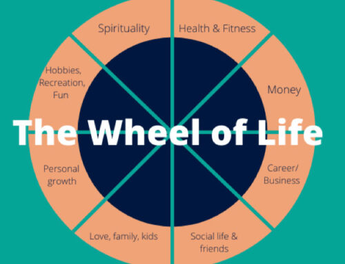 Are you winning at our Wheel of Life?